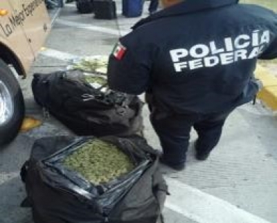 PGR investiga aseguramiento de más de 60 kilos de marihuana