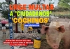 Urge sancionar a ciudadanos ‘cochinos’; la tormenta dejó al descubierto toneladas de basura...
