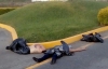 Arrojan cuerpos de hombre y mujer en la carretera Tepic-GDL; el varón fue decapitado