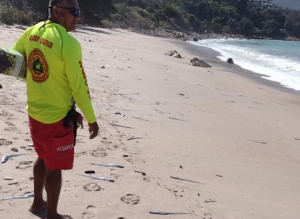 Analizan autoridades causa de muerte de peces sable en playa Palmares