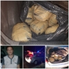 Capturan a presunto narcotraficante en Fluvial Vallarta; traía más de 15 kilos de marihuana