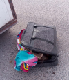 Hallan mujer muerta dentro de una maleta en calles de la colonia 5 de Mayo de GDL